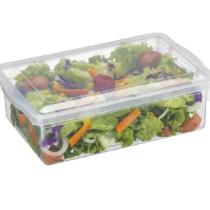 Caixa Organizadora Bioprátika com Tampa Pleion