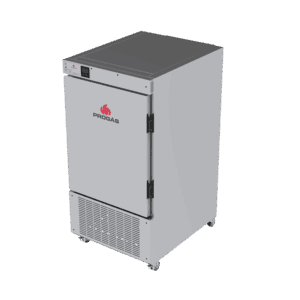 Câmara de Crescimento Progás