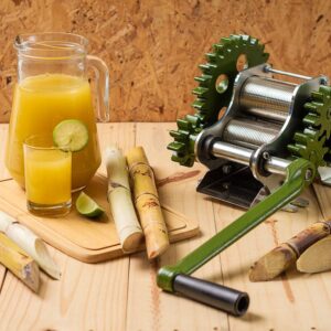 ENGENHO PARA CANA B60 INOX BOTINI